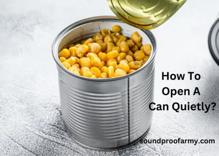 How To Open A Can Quietly? 6 Simple And Easy Steps